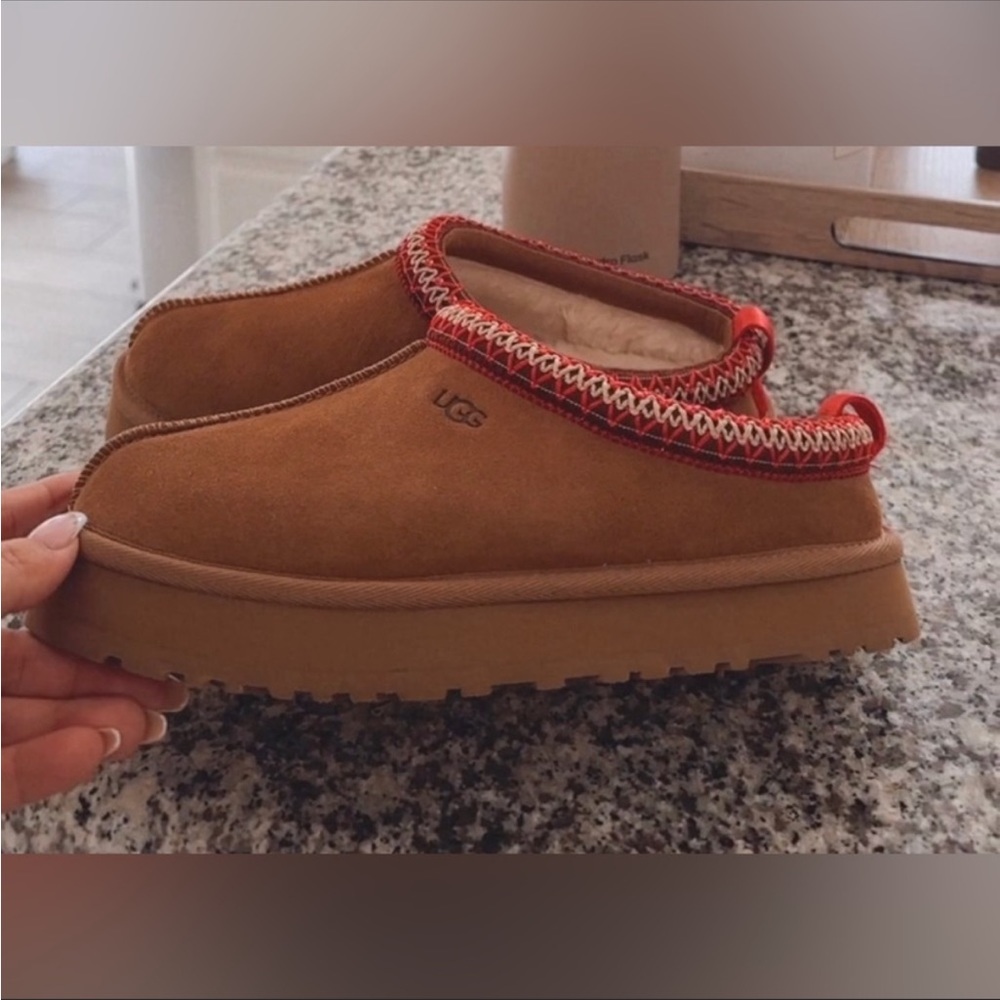 Tasman Ugg